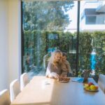 A mother multitasks with breakfast and remote work while holding her child at a dining table.