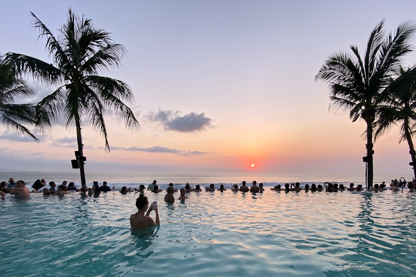 coconut palms and swimming pool facing ocean